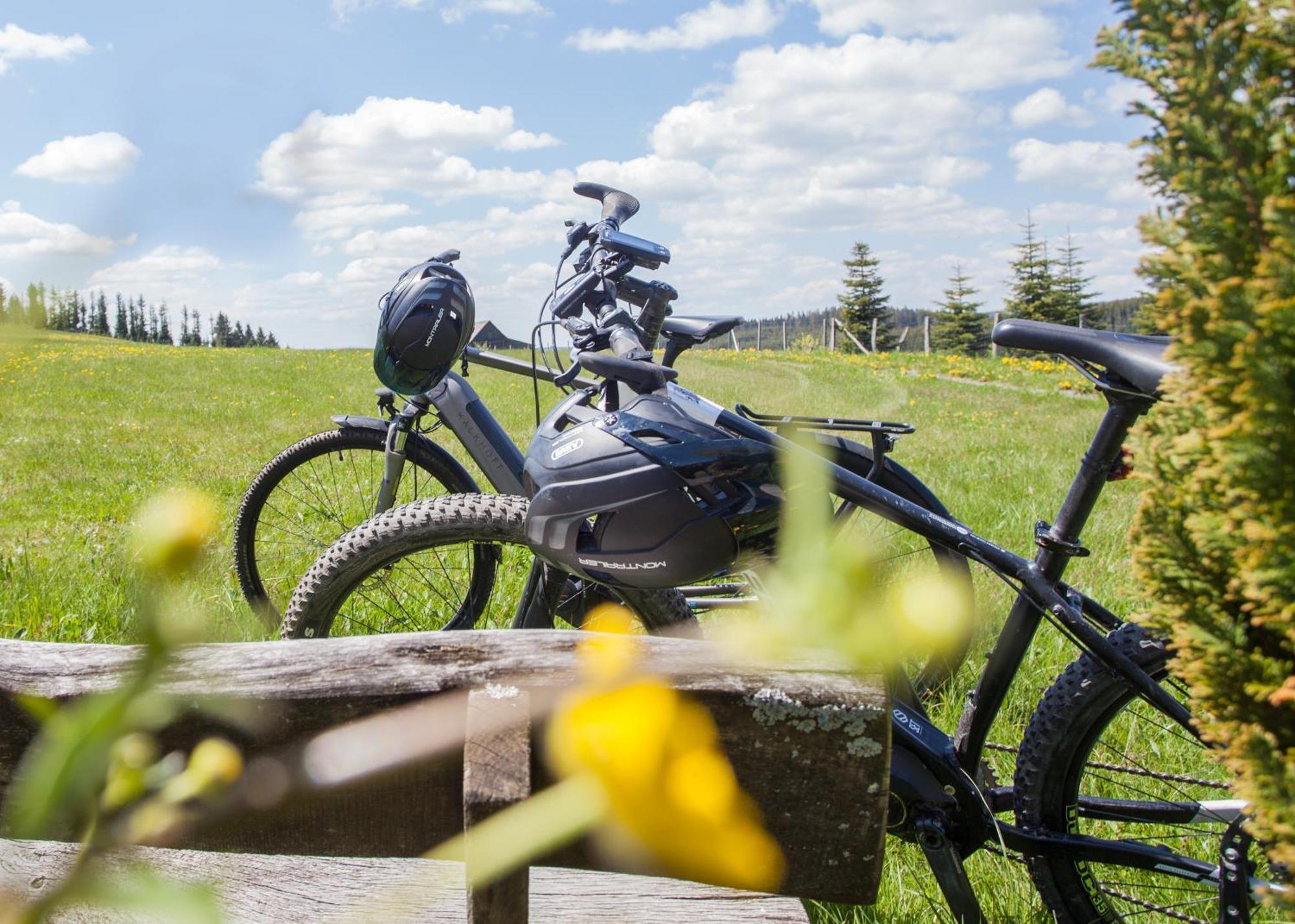 Der Schoene Asten - Resort Winterberg Bagian luar foto